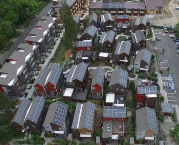 Bainbridge-GrowMay2016-5