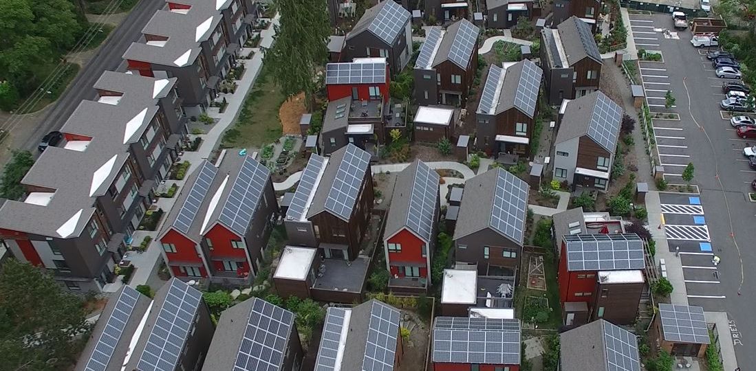 Bainbridge-GrowMay2016-5