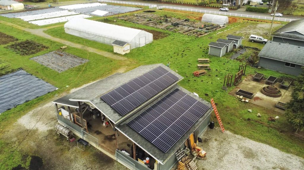 solar REAP grant for small businesses