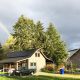 washington and oregon solar company